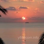 Avatar of Nida Hussain